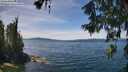 ./images/koeye/fitz-hugh/20260613/fitz-hugh20260613_132501M.jpg