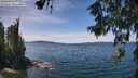 ./images/koeye/fitz-hugh/20260613/fitz-hugh20260613_133001M.jpg