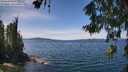 ./images/koeye/fitz-hugh/20260613/fitz-hugh20260613_133501M.jpg