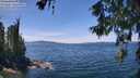 ./images/koeye/fitz-hugh/20260613/fitz-hugh20260613_135001M.jpg