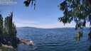./images/koeye/fitz-hugh/20260613/fitz-hugh20260613_135501M.jpg