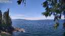 ./images/koeye/fitz-hugh/20260613/fitz-hugh20260613_140001M.jpg