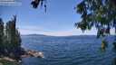 ./images/koeye/fitz-hugh/20260613/fitz-hugh20260613_140501M.jpg