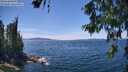 ./images/koeye/fitz-hugh/20260613/fitz-hugh20260613_141001M.jpg