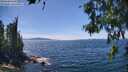 ./images/koeye/fitz-hugh/20260613/fitz-hugh20260613_142501M.jpg