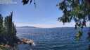 ./images/koeye/fitz-hugh/20260613/fitz-hugh20260613_143001M.jpg