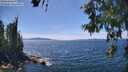 ./images/koeye/fitz-hugh/20260613/fitz-hugh20260613_143501M.jpg