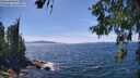 ./images/koeye/fitz-hugh/20260613/fitz-hugh20260613_144001M.jpg