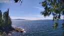 ./images/koeye/fitz-hugh/20260613/fitz-hugh20260613_144501M.jpg