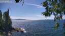 ./images/koeye/fitz-hugh/20260613/fitz-hugh20260613_145002M.jpg