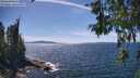 ./images/koeye/fitz-hugh/20260613/fitz-hugh20260613_145501M.jpg