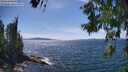 ./images/koeye/fitz-hugh/20260613/fitz-hugh20260613_150001M.jpg