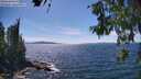./images/koeye/fitz-hugh/20260613/fitz-hugh20260613_151001M.jpg
