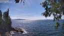 ./images/koeye/fitz-hugh/20260613/fitz-hugh20260613_153002M.jpg