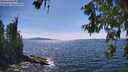 ./images/koeye/fitz-hugh/20260613/fitz-hugh20260613_154001M.jpg