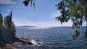 ./images/koeye/fitz-hugh/20260613/fitz-hugh20260613_154501M.jpg