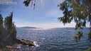 ./images/koeye/fitz-hugh/20260613/fitz-hugh20260613_155001M.jpg