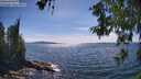 ./images/koeye/fitz-hugh/20260613/fitz-hugh20260613_155501M.jpg
