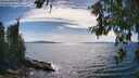 ./images/koeye/fitz-hugh/20260613/fitz-hugh20260613_161501M.jpg