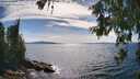 ./images/koeye/fitz-hugh/20260613/fitz-hugh20260613_162001M.jpg