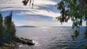 ./images/koeye/fitz-hugh/20260613/fitz-hugh20260613_162501M.jpg