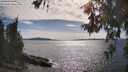 ./images/koeye/fitz-hugh/20260613/fitz-hugh20260613_170001M.jpg