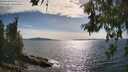 ./images/koeye/fitz-hugh/20260613/fitz-hugh20260613_171002M.jpg
