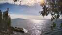 ./images/koeye/fitz-hugh/20260613/fitz-hugh20260613_171501M.jpg