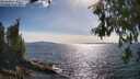 ./images/koeye/fitz-hugh/20260613/fitz-hugh20260613_172001M.jpg