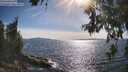 ./images/koeye/fitz-hugh/20260613/fitz-hugh20260613_172501M.jpg