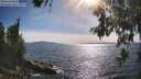 ./images/koeye/fitz-hugh/20260613/fitz-hugh20260613_173001M.jpg