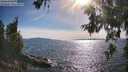 ./images/koeye/fitz-hugh/20260613/fitz-hugh20260613_174002M.jpg