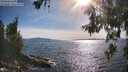 ./images/koeye/fitz-hugh/20260613/fitz-hugh20260613_174501M.jpg