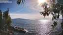 ./images/koeye/fitz-hugh/20260613/fitz-hugh20260613_180001M.jpg