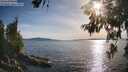 ./images/koeye/fitz-hugh/20260613/fitz-hugh20260613_184001M.jpg