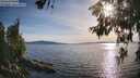 ./images/koeye/fitz-hugh/20260613/fitz-hugh20260613_185001M.jpg