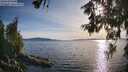 ./images/koeye/fitz-hugh/20260613/fitz-hugh20260613_185501M.jpg