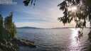 ./images/koeye/fitz-hugh/20260613/fitz-hugh20260613_191002M.jpg