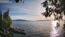 ./images/koeye/fitz-hugh/20260613/fitz-hugh20260613_192001M.jpg
