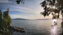 ./images/koeye/fitz-hugh/20260613/fitz-hugh20260613_193001M.jpg