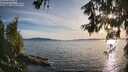 ./images/koeye/fitz-hugh/20260613/fitz-hugh20260613_193501M.jpg