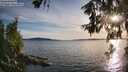 ./images/koeye/fitz-hugh/20260613/fitz-hugh20260613_195001M.jpg
