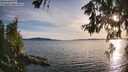 ./images/koeye/fitz-hugh/20260613/fitz-hugh20260613_195501M.jpg