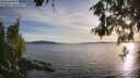 ./images/koeye/fitz-hugh/20260613/fitz-hugh20260613_200002M.jpg