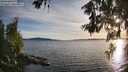 ./images/koeye/fitz-hugh/20260613/fitz-hugh20260613_200501M.jpg