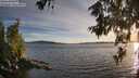 ./images/koeye/fitz-hugh/20260613/fitz-hugh20260613_204001M.jpg