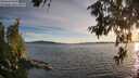 ./images/koeye/fitz-hugh/20260613/fitz-hugh20260613_204501M.jpg