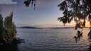 ./images/koeye/fitz-hugh/20260613/fitz-hugh20260613_215501M.jpg