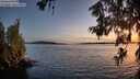 ./images/koeye/fitz-hugh/20260613/fitz-hugh20260613_221002M.jpg