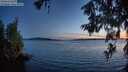 ./images/koeye/fitz-hugh/20260613/fitz-hugh20260613_223501M.jpg